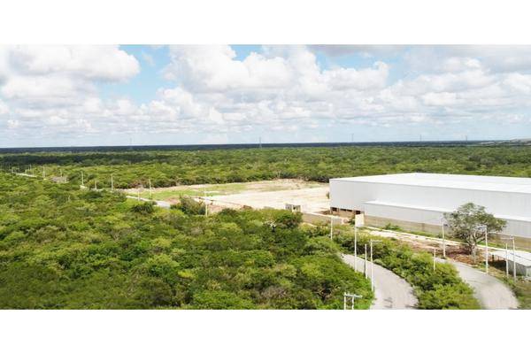 Foto de terreno habitacional en venta en  , caucel, mérida, yucatán, 0 No. 04