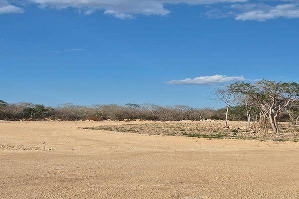 Foto de terreno habitacional en , cholul, mérida, yucatán, 0 foto 04 Foto de terreno habitacional en venta en , cholul, mérida, yucatán, 0 No. 04