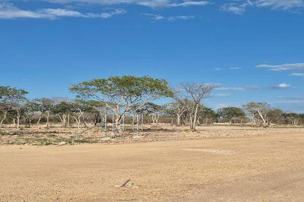 Foto de terreno habitacional en , cholul, mérida, yucatán, 0 foto 05 Foto de terreno habitacional en venta en , cholul, mérida, yucatán, 0 No. 05