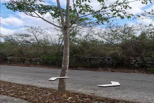 Foto de terreno habitacional en venta en  , conkal, conkal, yucatán, 30300785 No. 04
