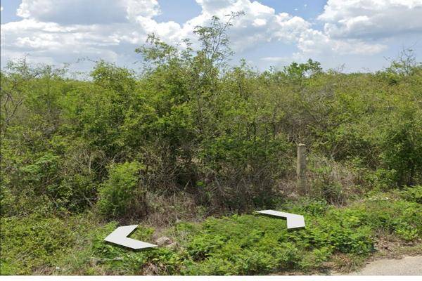 Foto de terreno habitacional en venta en  , conkal, conkal, yucatán, 30300785 No. 05