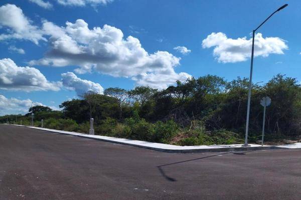 Foto de terreno habitacional en venta en  , conkal, conkal, yucatán, 30478425 No. 05