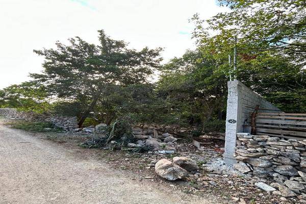 Foto de terreno habitacional en venta en  , dzitya, mérida, yucatán, 0 No. 01