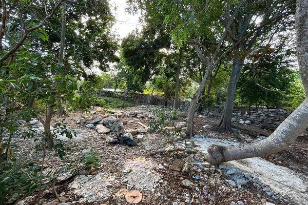 Foto de terreno habitacional en venta en  , dzitya, mérida, yucatán, 0 No. 02