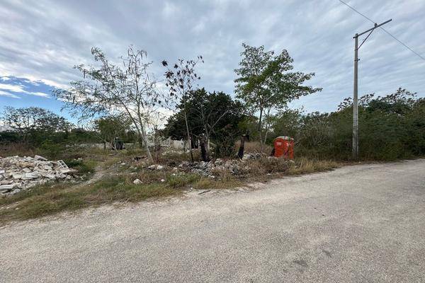 Foto de terreno habitacional en ., ., , dzitya, mérida, yucatán, 30470342 foto 03 Foto de terreno habitacional en venta en ., ., , dzitya, mérida, yucatán, 30470342 No. 03