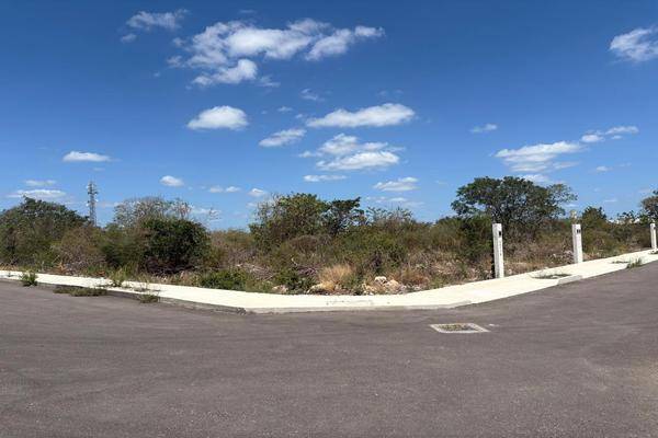 Foto de terreno habitacional en , dzitya, mérida, yucatán, 0 foto 02 Foto de terreno habitacional en venta en , dzitya, mérida, yucatán, 0 No. 02