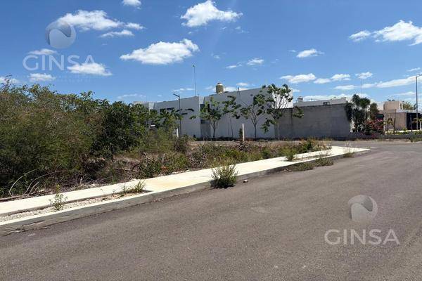 Foto de terreno habitacional en , dzitya, mérida, yucatán, 0 foto 04 Foto de terreno habitacional en venta en , dzitya, mérida, yucatán, 0 No. 04
