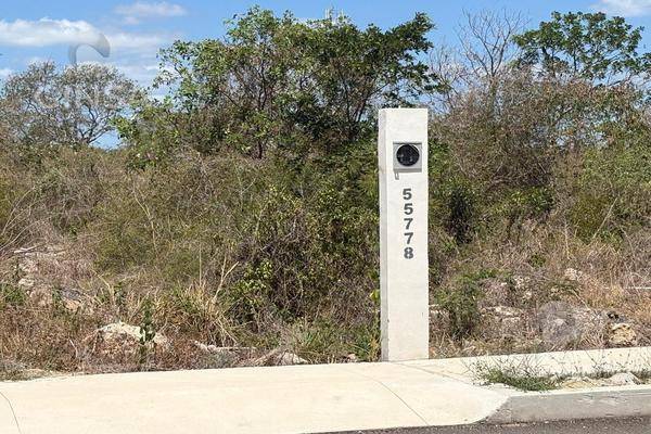 Foto de terreno habitacional en , dzitya, mérida, yucatán, 0 foto 05 Foto de terreno habitacional en venta en , dzitya, mérida, yucatán, 0 No. 05