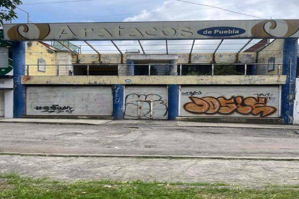 Foto de terreno habitacional en venta en  , el carmen, puebla, puebla, 0 No. 02