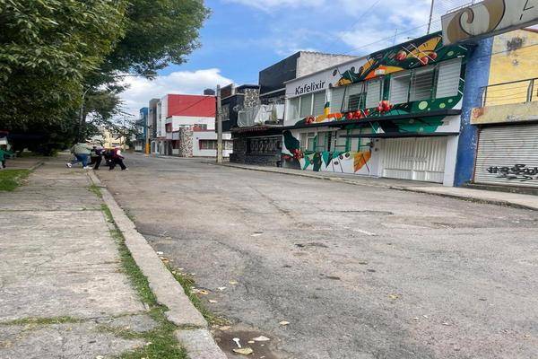 Foto de terreno habitacional en venta en  , el carmen, puebla, puebla, 0 No. 03