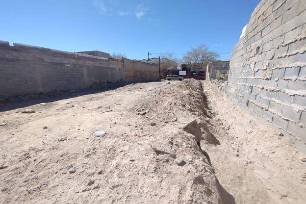 Foto de terreno habitacional en venta en  , juárez, juárez, chihuahua, 0 No. 03