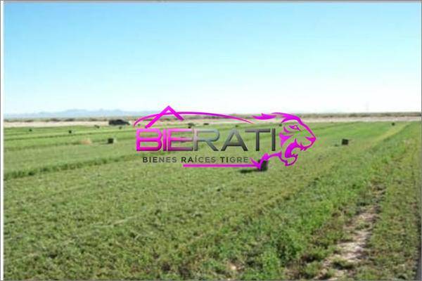 Foto de rancho en venta en  , lucero, ahumada, chihuahua, 0 No. 01
