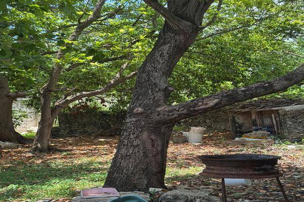Foto de terreno habitacional en venta en  , mayapan, mérida, yucatán, 30130397 No. 05