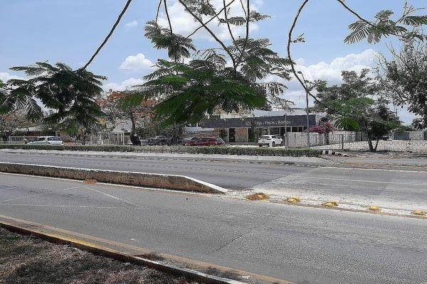 Foto de terreno habitacional en , montejo, mérida, yucatán, 0 foto 04 Foto de terreno habitacional en venta en , montejo, mérida, yucatán, 0 No. 04