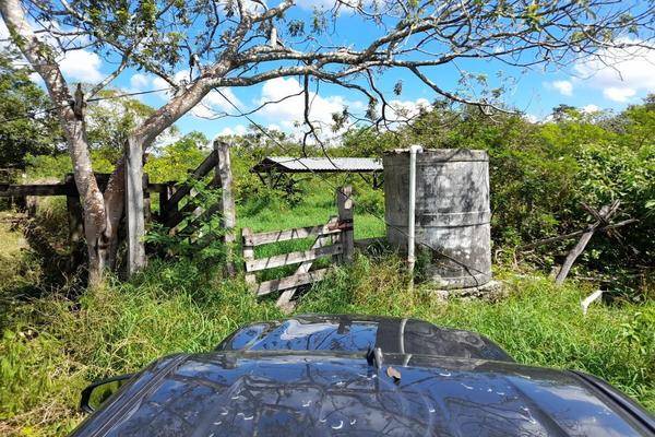 Foto de rancho en venta en  , panaba, panabá, yucatán, 27607257 No. 04