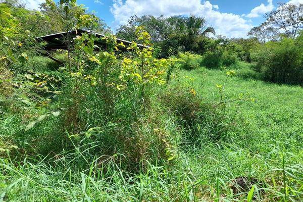 Foto de rancho en venta en  , panaba, panabá, yucatán, 27607257 No. 05