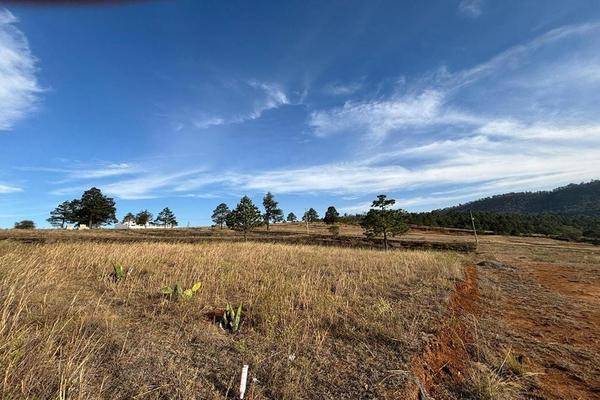 Foto de terreno habitacional en venta en  , puebla, puebla, puebla, 0 No. 01