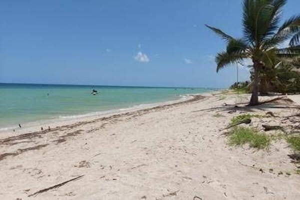 Foto de terreno habitacional en venta en  , san diego, dzemul, yucatán, 26010665 No. 02