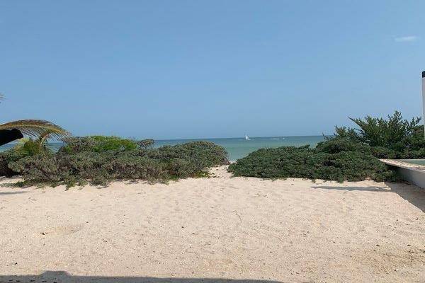 Foto de terreno habitacional en venta en  , san diego, dzemul, yucatán, 26010665 No. 03