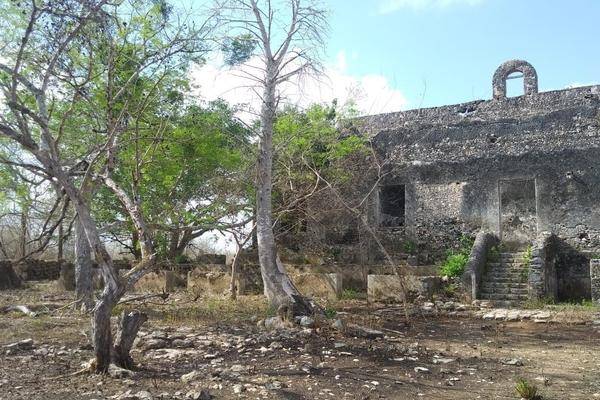 Foto de rancho en venta en  , san miguel, huhí, yucatán, 27403010 No. 01