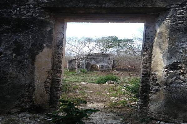 Foto de rancho en venta en  , san miguel, huhí, yucatán, 27403010 No. 05