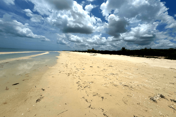 Foto de terreno habitacional en venta en  , sisal, hunucmá, yucatán, 0 No. 02