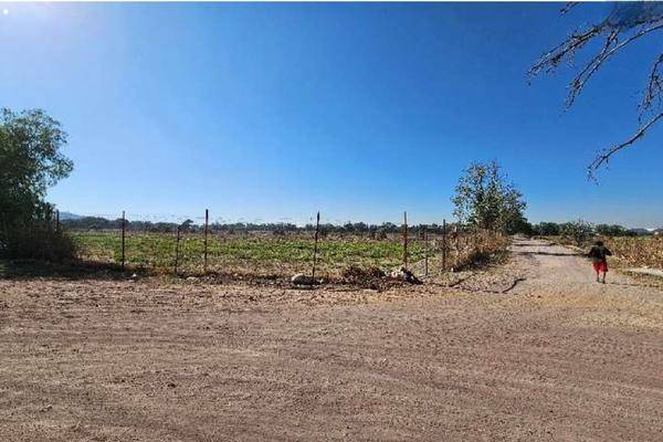 Foto de terreno habitacional en venta en  , tepexpan, acolman, méxico, 0 No. 04