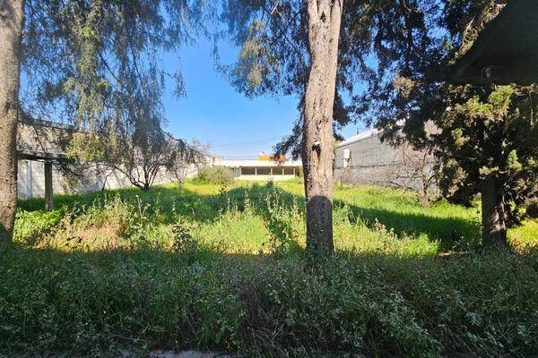 Foto de bodega en venta en  , toluca, toluca, méxico, 0 No. 02