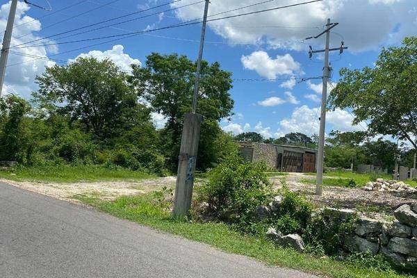 Foto de terreno habitacional en venta en  , ucu, ucú, yucatán, 0 No. 04