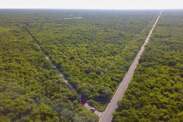 Foto de terreno habitacional en venta en  , yobain, yobaín, yucatán, 0 No. 03