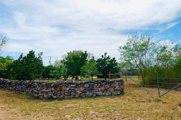 Foto de rancho en 1 , chabihau, yobaín, yucatán, 0 foto 02 Foto de rancho en venta en 1 , chabihau, yobaín, yucatán, 0 No. 02