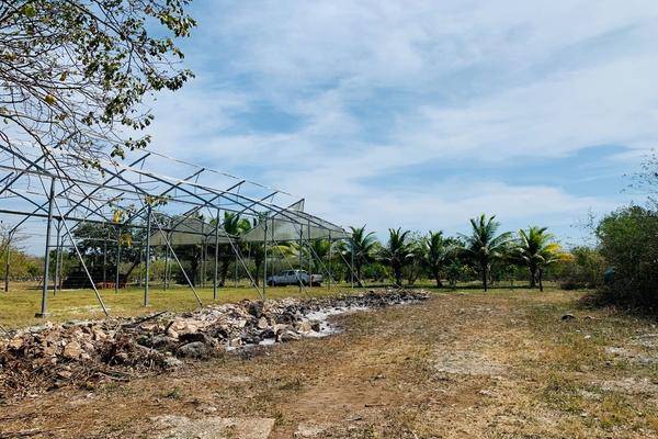 Foto de rancho en 1 , chabihau, yobaín, yucatán, 0 foto 03 Foto de rancho en venta en 1 , chabihau, yobaín, yucatán, 0 No. 03