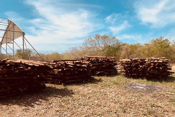 Foto de rancho en 1 , chabihau, yobaín, yucatán, 0 foto 04 Foto de rancho en venta en 1 , chabihau, yobaín, yucatán, 0 No. 04