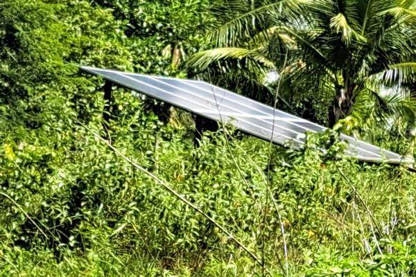 Foto de rancho en 1 , san miguel, tizimín, yucatán, 0 foto 03 Foto de rancho en venta en 1 , san miguel, tizimín, yucatán, 0 No. 03