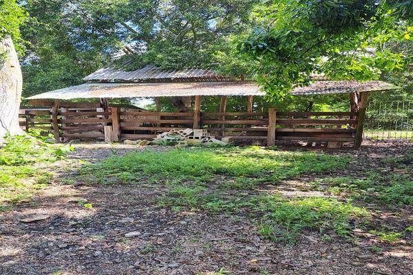 Foto de rancho en 1 , san miguel, tizimín, yucatán, 0 foto 07 Foto de rancho en venta en 1 , san miguel, tizimín, yucatán, 0 No. 07