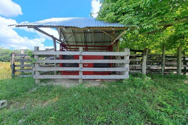 Foto de rancho en 1 , san miguel, tizimín, yucatán, 0 foto 08 Foto de rancho en venta en 1 , san miguel, tizimín, yucatán, 0 No. 08