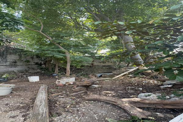 Foto de terreno habitacional en 14 , san joaquín, campeche, campeche, 0 foto 03 Foto de terreno habitacional en venta en 14 , san joaquín, campeche, campeche, 0 No. 03