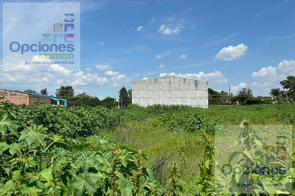 Foto de terreno habitacional en , 18 de marzo, salamanca, guanajuato, 28480398 foto 04 Foto de terreno habitacional en venta en , 18 de marzo, salamanca, guanajuato, 28480398 No. 04