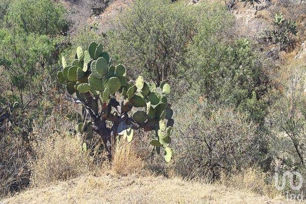 Foto de terreno comercial en 23 poniente 235332, la concepción, san salvador huixcolotla, puebla, 30484700 foto 05 Foto de terreno comercial en venta en 23 poniente 235332, la concepción, san salvador huixcolotla, puebla, 30484700 No. 05