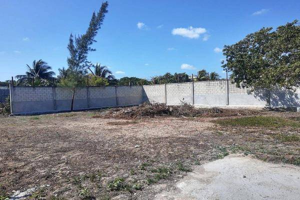 Foto de terreno habitacional en 67 , el porvenir, mérida, yucatán, 0 foto 01 Foto de terreno habitacional en venta en 67 , el porvenir, mérida, yucatán, 0 No. 01