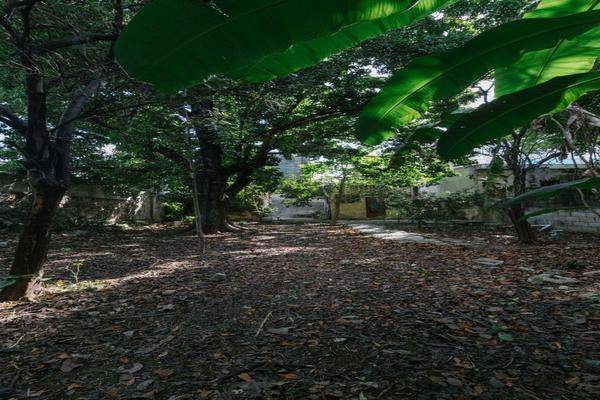 Foto de casa en 72 , merida centro, mérida, yucatán, 0 foto 03 Foto de casa en venta en 72 , merida centro, mérida, yucatán, 0 No. 03