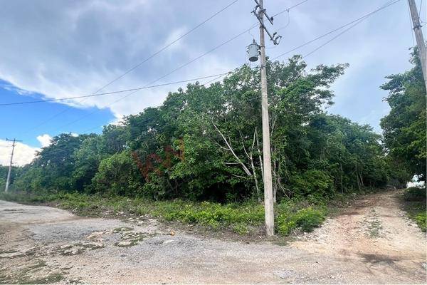 Foto de terreno habitacional en a 2 cuadras de avenida huayacan y avenida colegios, calle nuevo león 02, colegios, benito juárez, quintana roo, 30372497 foto 01 Foto de terreno habitacional en venta en a 2 cuadras de avenida huayacan y avenida colegios, calle nuevo león 02, colegios, benito juárez, quintana roo, 30372497 No. 01