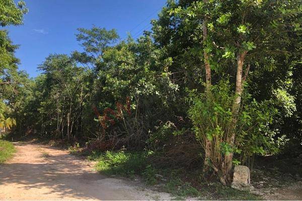 Foto de terreno habitacional en a 2 cuadras de avenida huayacan y avenida colegios, calle nuevo león 02, colegios, benito juárez, quintana roo, 30372497 foto 02 Foto de terreno habitacional en venta en a 2 cuadras de avenida huayacan y avenida colegios, calle nuevo león 02, colegios, benito juárez, quintana roo, 30372497 No. 02