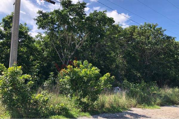 Foto de terreno habitacional en a 2 cuadras de avenida huayacan y avenida colegios, calle nuevo león 02, colegios, benito juárez, quintana roo, 30372497 foto 04 Foto de terreno habitacional en venta en a 2 cuadras de avenida huayacan y avenida colegios, calle nuevo león 02, colegios, benito juárez, quintana roo, 30372497 No. 04