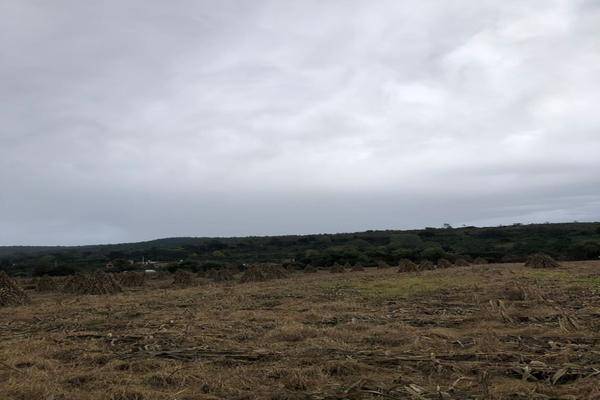 Foto de terreno habitacional en a 2.5 kilometro de tapalpa , atacco, tapalpa, jalisco, 0 foto 04 Foto de terreno habitacional en venta en a 2.5 kilometro de tapalpa , atacco, tapalpa, jalisco, 0 No. 04