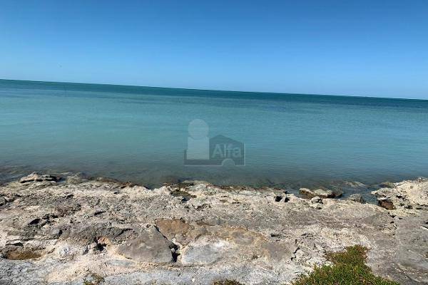 Foto de terreno habitacional en acapulquito , villa madero, champotón, campeche, 10547034 foto 01 Foto de terreno habitacional en venta en acapulquito , villa madero, champotón, campeche, 10547034 No. 01