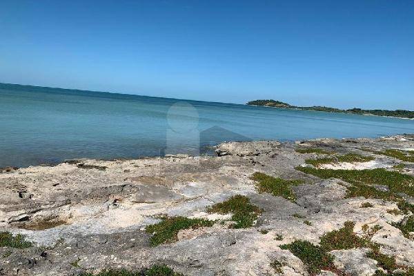 Foto de terreno habitacional en acapulquito , villa madero, champotón, campeche, 10547034 foto 02 Foto de terreno habitacional en venta en acapulquito , villa madero, champotón, campeche, 10547034 No. 02