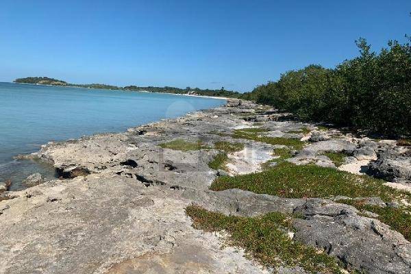 Foto de terreno habitacional en acapulquito , villa madero, champotón, campeche, 10547034 foto 03 Foto de terreno habitacional en venta en acapulquito , villa madero, champotón, campeche, 10547034 No. 03