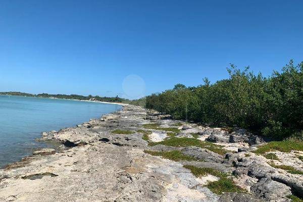 Foto de terreno habitacional en acapulquito , villa madero, champotón, campeche, 10547034 foto 04 Foto de terreno habitacional en venta en acapulquito , villa madero, champotón, campeche, 10547034 No. 04