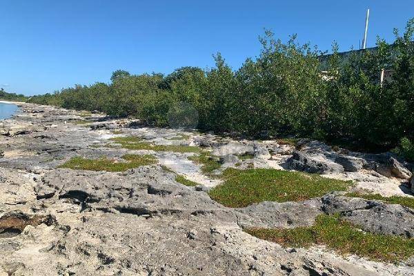 Foto de terreno habitacional en acapulquito , villa madero, champotón, campeche, 10547034 foto 05 Foto de terreno habitacional en venta en acapulquito , villa madero, champotón, campeche, 10547034 No. 05